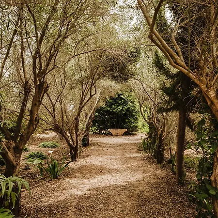 Εξοχικό σπίτι La Carrasca Catral