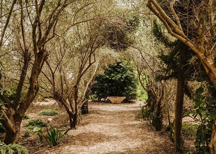 Hétvégi ház La Carrasca Catral