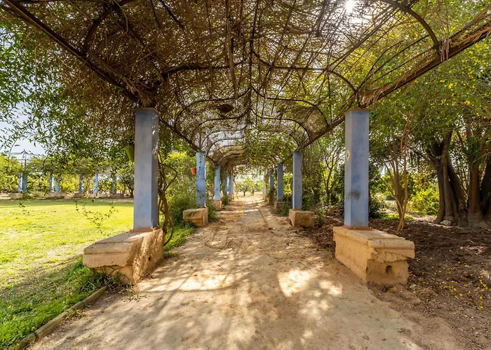 La Carrasca * Catral