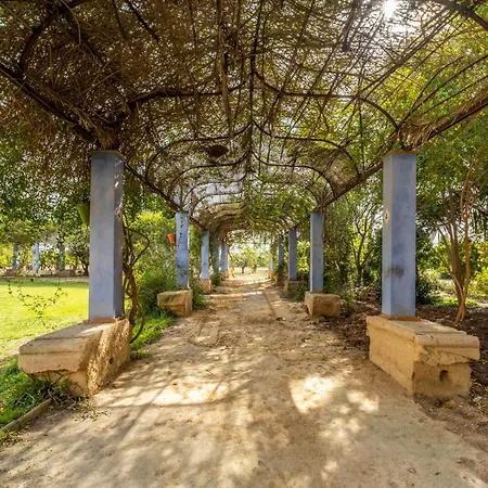 La Carrasca Casa rural Catral